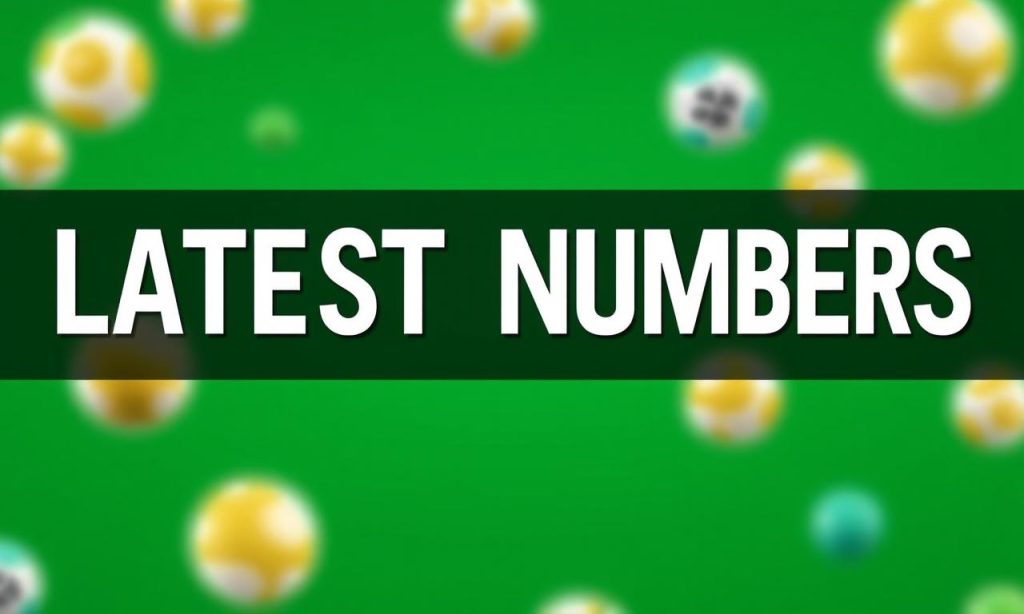 六合彩最新開獎號碼即時更新